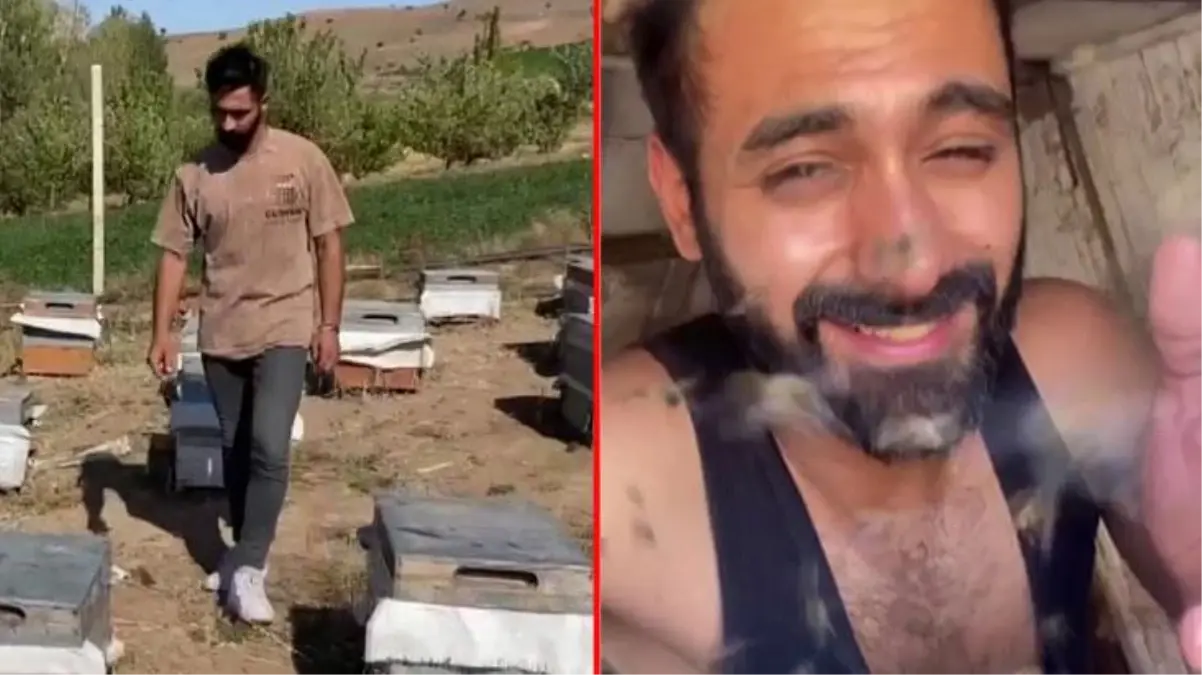'Arılara fısıldayan adam' olarak anılan 24 yaşındaki genç, korucuyu kıyafet olmadan kovanların arasına daldı
