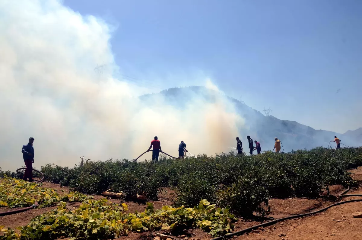 Son dakika haberleri: Ormanlık alanda çıkan örtü yangınının söndürülmesi için çalışmalar sürüyor