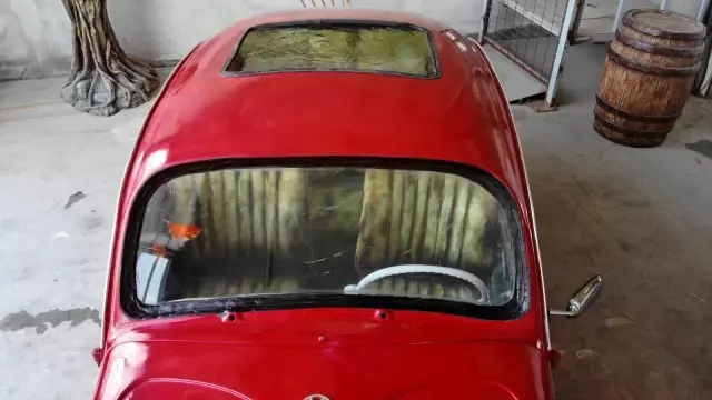 Türkiye'de eşi benzeri yok! 'Vosvos Akvaryum' Abu Dabi'de sergilenmek için gün sayıyor