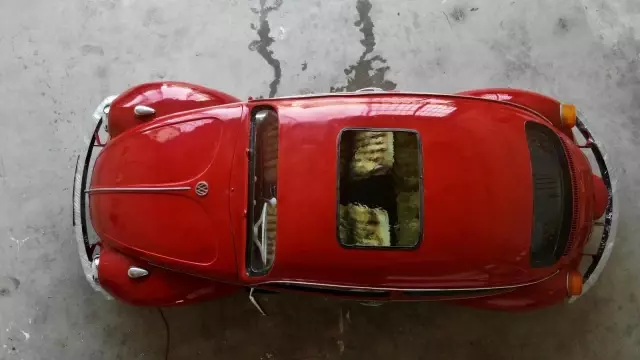 Türkiye'de eşi benzeri yok! 'Vosvos Akvaryum' Abu Dabi'de sergilenmek için gün sayıyor