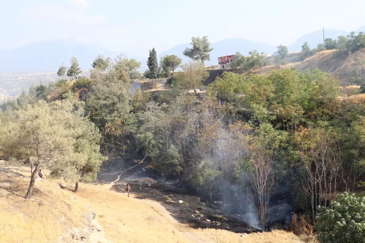 Orman yangını ekiplerin müdahalesiyle kontrol altına alındı