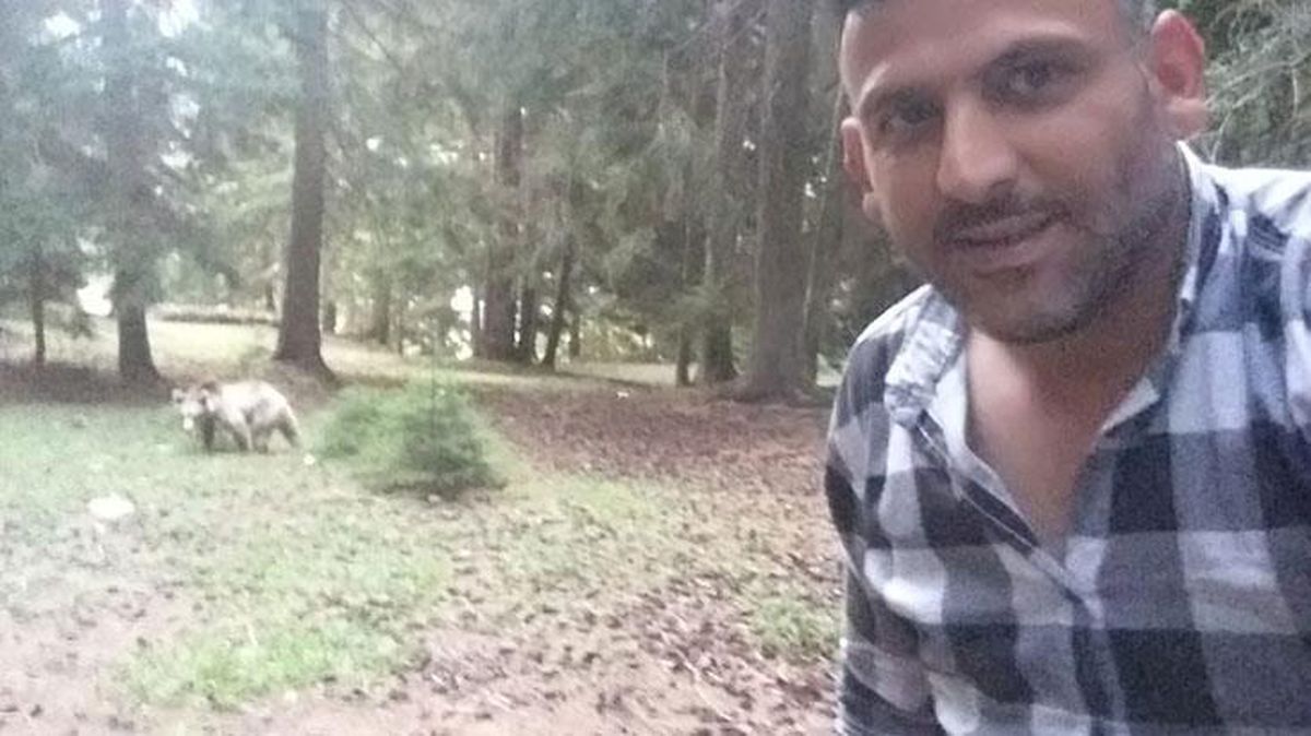 Ormanda karşılaştığı bozayı ile selfie çekip sosyal medyada paylaştı