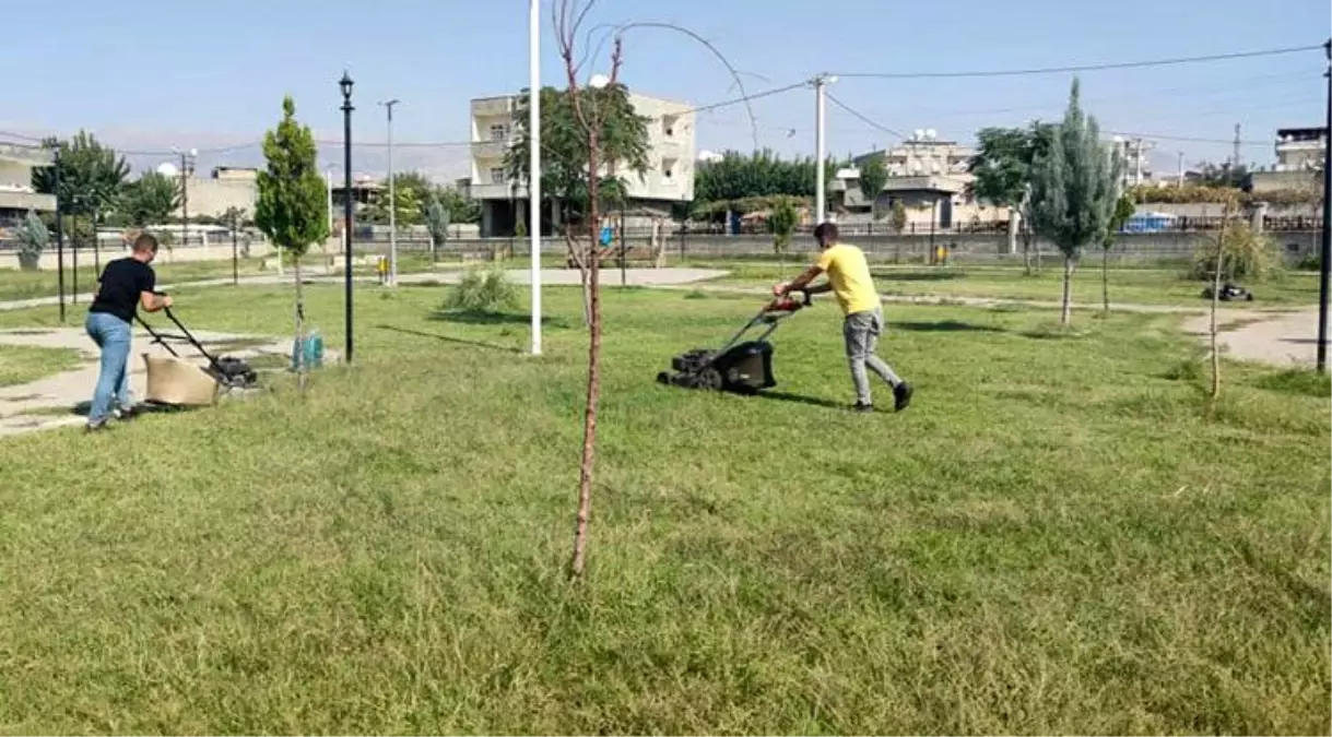 Park ve Bahçeler Müdürlüğümüz Çim Biçme ve sulama çalışmalarını sürdürüyor