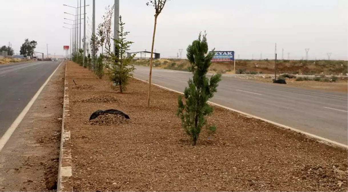 Yaya ve Araç Güvenliği için orta refüj etrafını panel çit ile kapatıyoruz