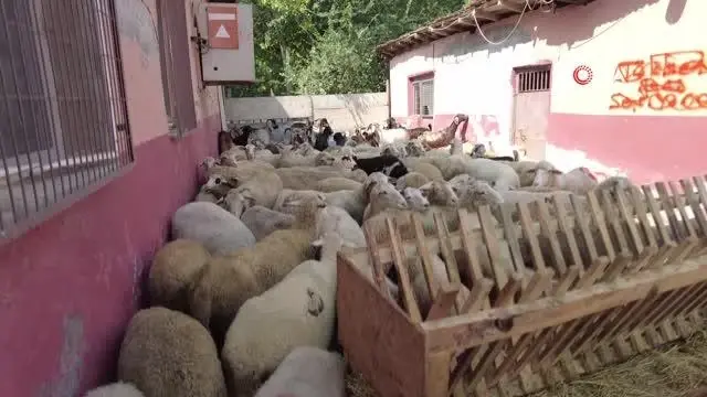 Antalya'da yangından zarar gören vatandaşlara Orhaneli'den yardım eli uzandı
