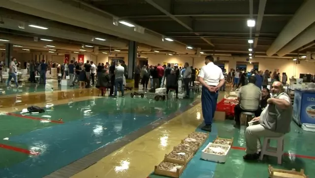 Av yasağı bitti, Gürpınar Su Ürünleri Hali'nde hareketlilik başladı