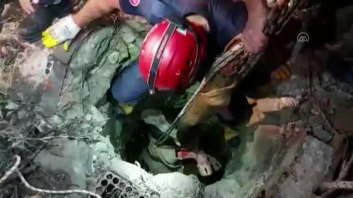 Son dakika haberi | BALIKESİR - Kuyuya düşen gebe inek itfaiye ekiplerince kurtarıldı