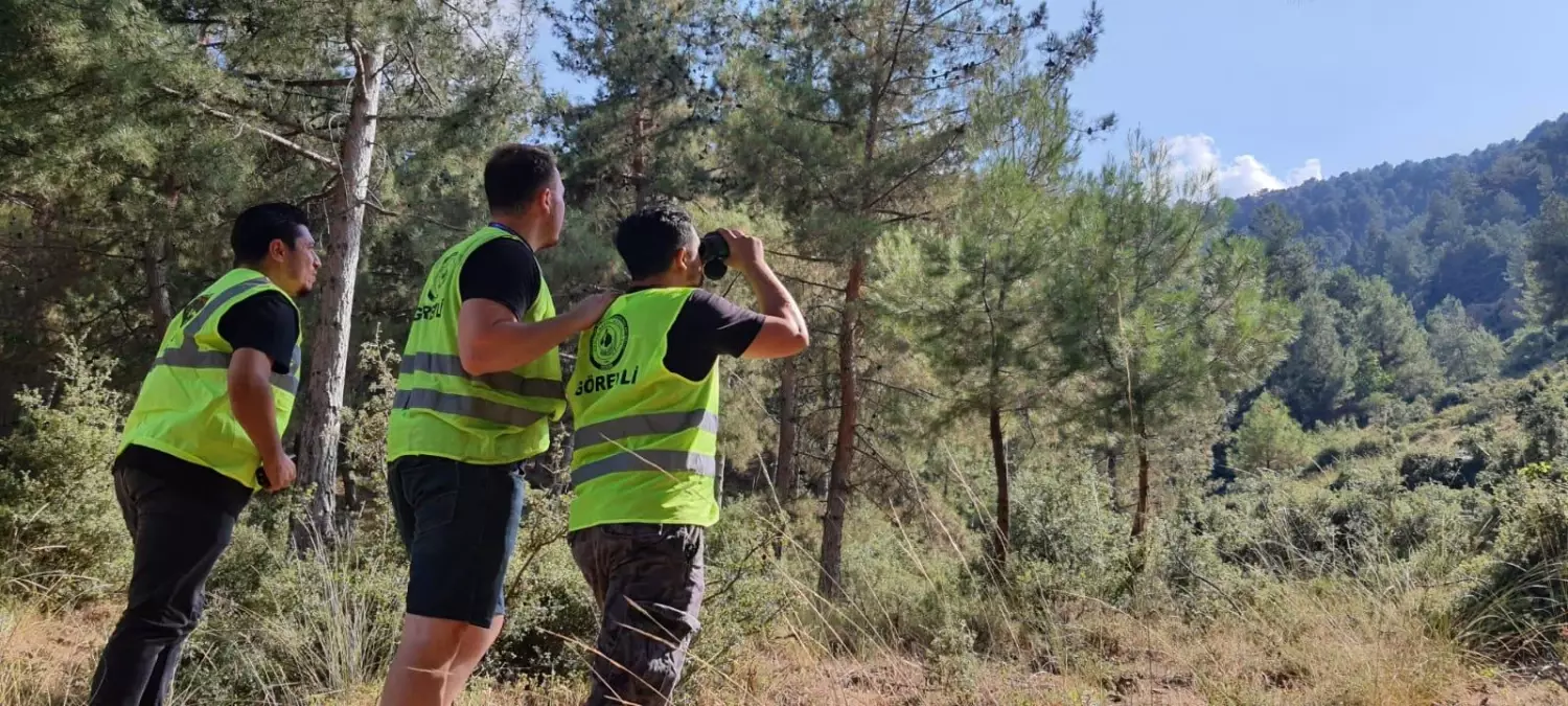 Denizli'de orman yangınlarına karşı gönüllüler de nöbette