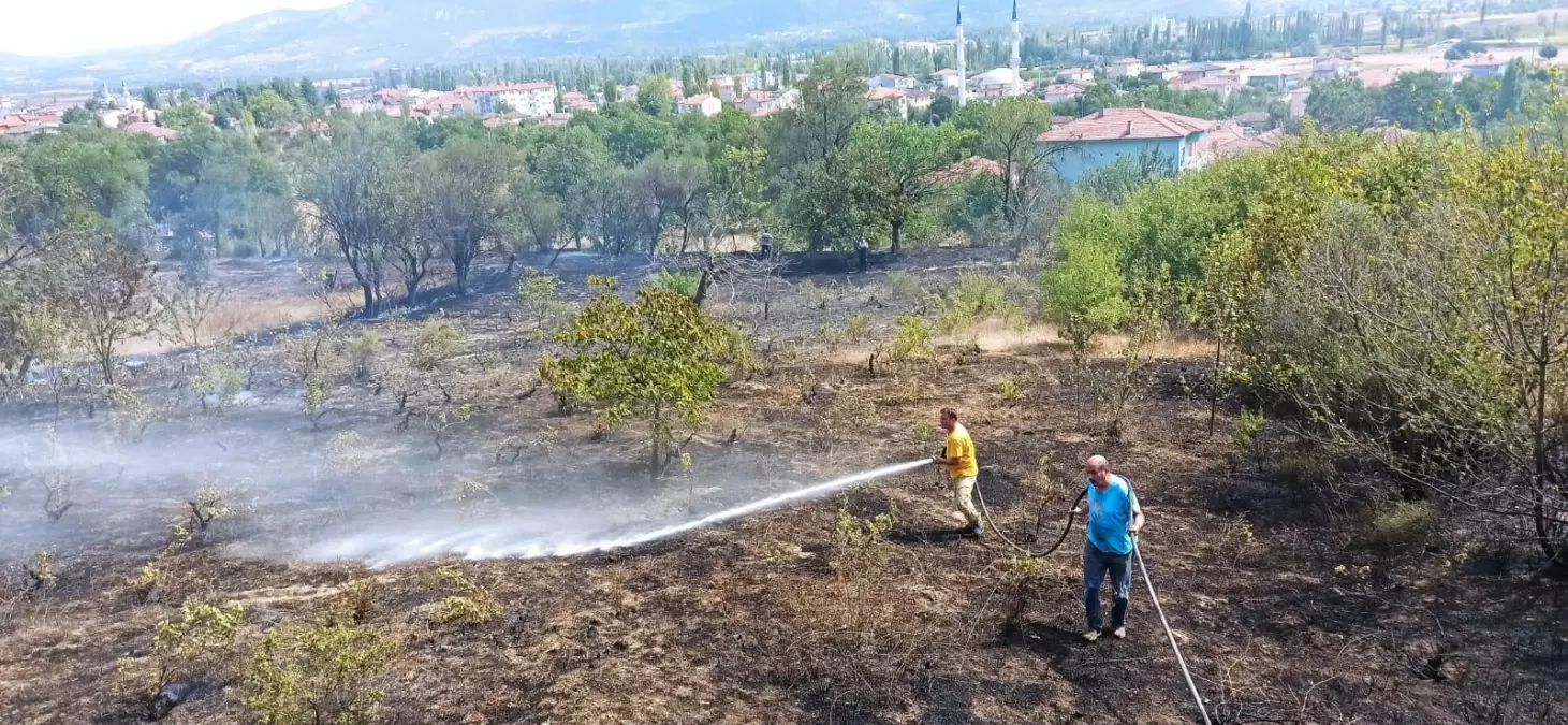 Gölpazarı'nda çıkan yangında 10 dönüm alan zarar gördü
