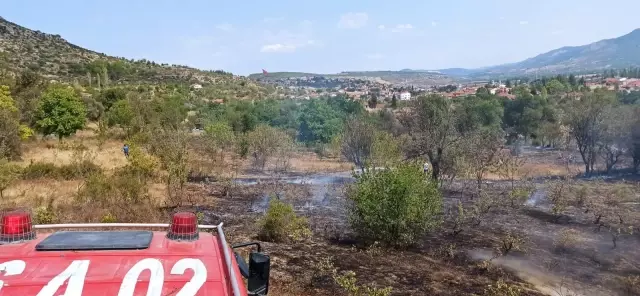 Gölpazarı'nda çıkan yangında 10 dönüm alan zarar gördü