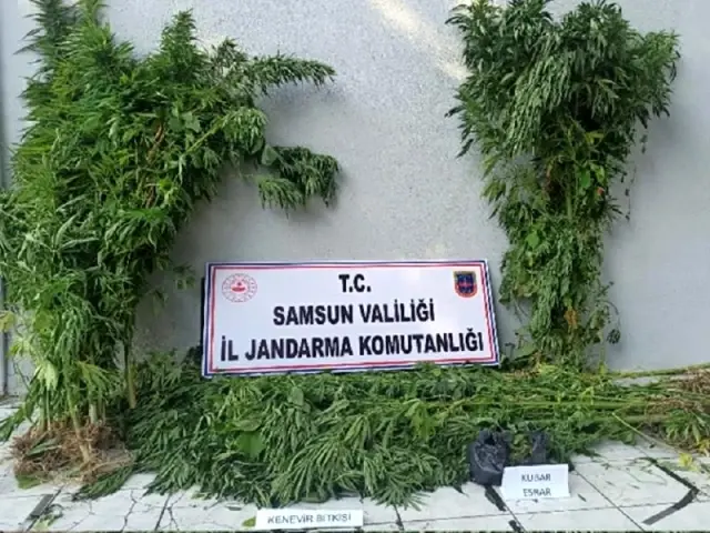 Samsun'da uyuşturucu operasyonları: 15 gözaltı