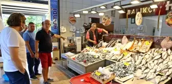 Av yasağı kalktı, tezgahlar istavritle doldu! Ancak fiyatlar şu an için biraz pahalı