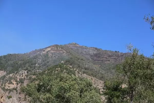 Son dakika haberi | TUNCELİ'DEKİ YANGINDA TULUMBALI EKİPLER SOĞUTMA ÇALIŞMALARINDA