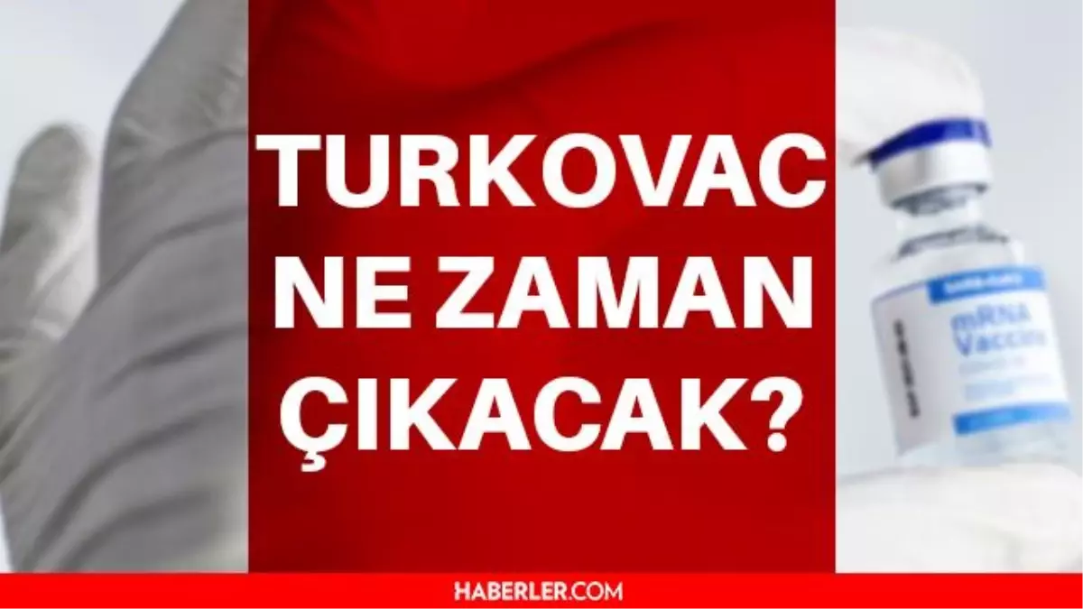 Türkovac ne zaman çıkacak? Yerli aşı ne zaman çıkacak? Türk aşısı TURCOVAC ne zaman çıkacak? Yerli aşı ne durumda?