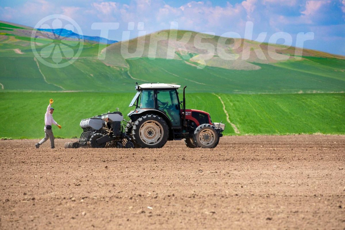 Türkşeker'den çiftçilere 650 milyon liralık destek