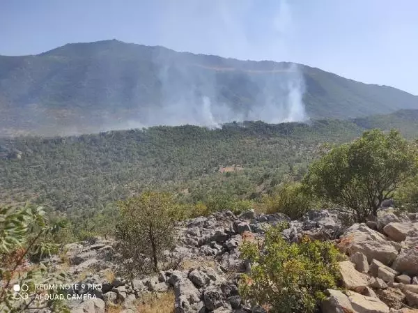 Elazığ'daki örtü yangını kontrol altında