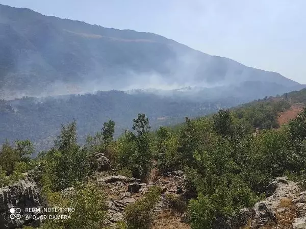 Elazığ'daki örtü yangını kontrol altında