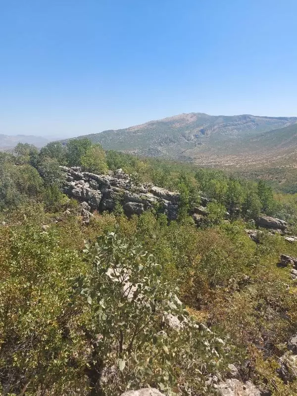Elazığ'daki örtü yangını kontrol altında