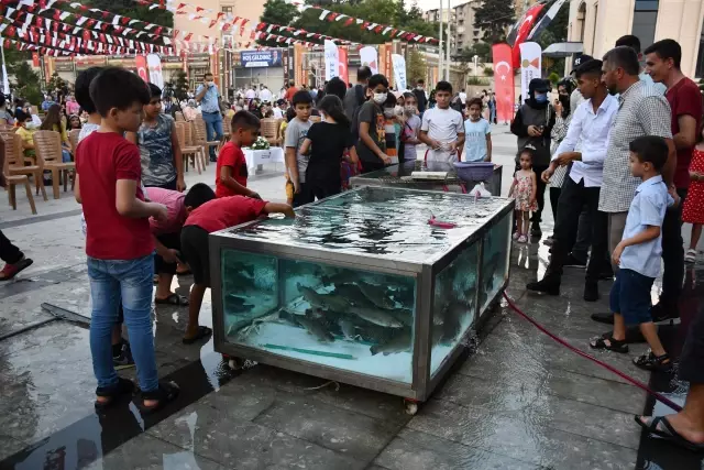 Kahramanmaraş Balık Festivali'nin ilki gerçekleştirildi