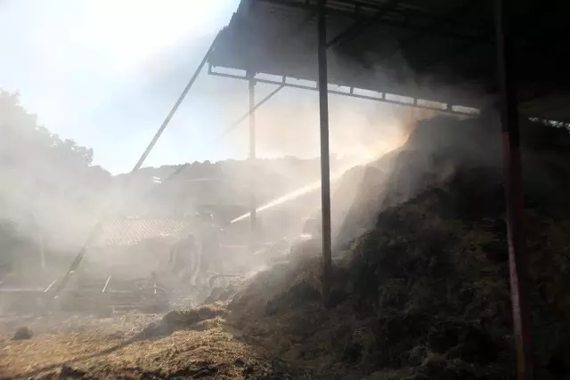 Kopan elektrik telleri 600 balya samanı küle çevirdi
