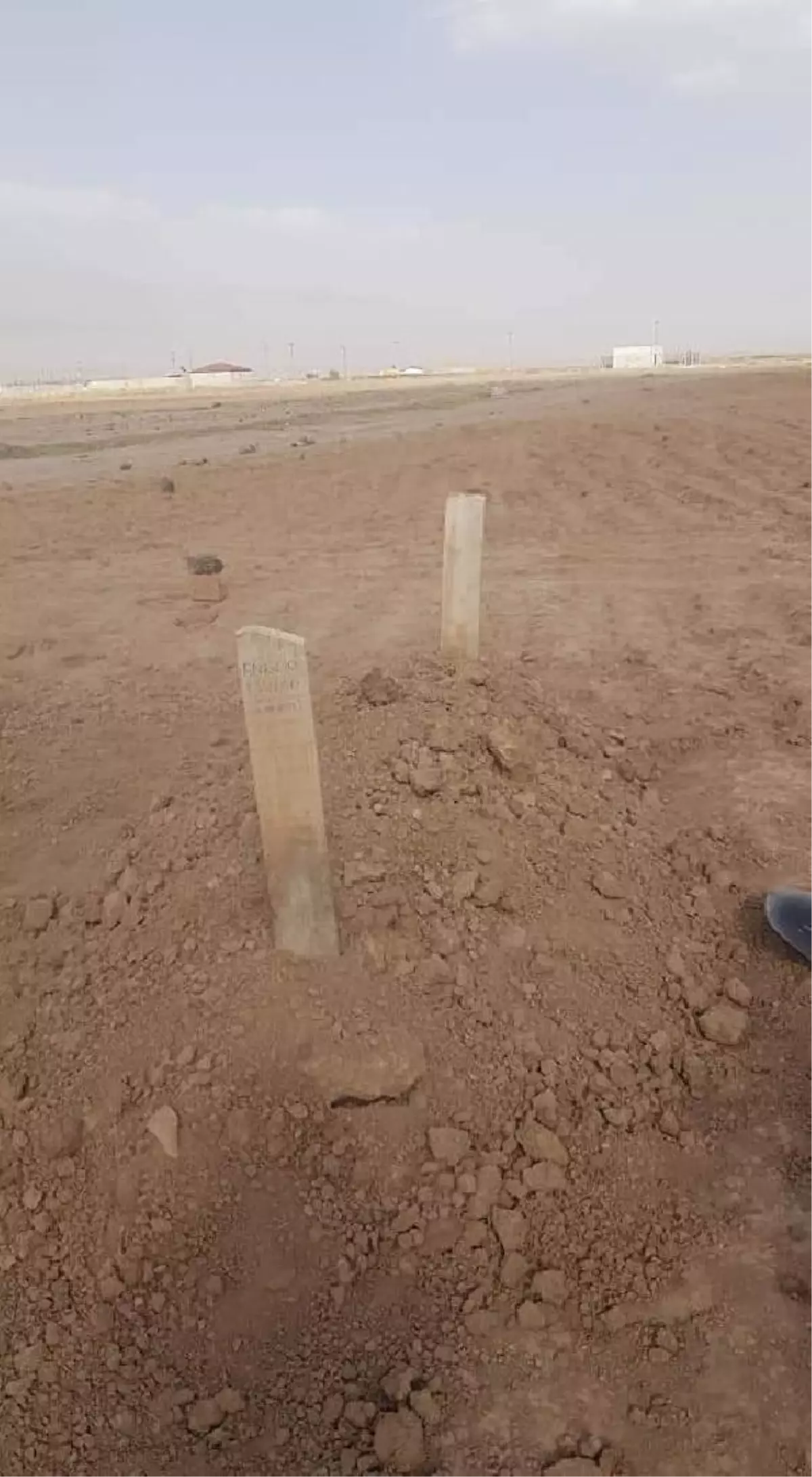 Nuh'un Gemisi'ni arayan İtalyan araştırmacıya, Ağrı Dağı manzaralı mezarlık (2)