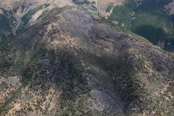 TUNCELİ'DEKİ 5 YANGINDAN 4'Ü SÖNDÜRÜLDÜ