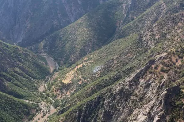 TUNCELİ'DEKİ 5 YANGINDAN 4'Ü SÖNDÜRÜLDÜ