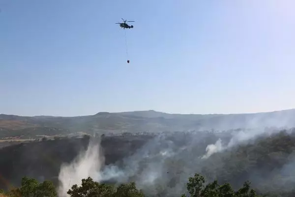 Son dakika haberleri... Bodrum'da orman yangını (2)