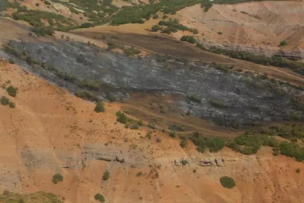 TUNCELİ'DEKİ 5 YANGINDAN 4'Ü SÖNDÜRÜLDÜ