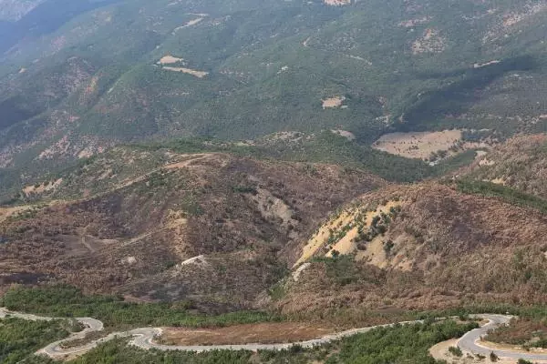 TUNCELİ'DEKİ 5 YANGINDAN 4'Ü SÖNDÜRÜLDÜ