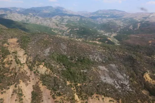 TUNCELİ'DEKİ 5 YANGINDAN 4'Ü SÖNDÜRÜLDÜ