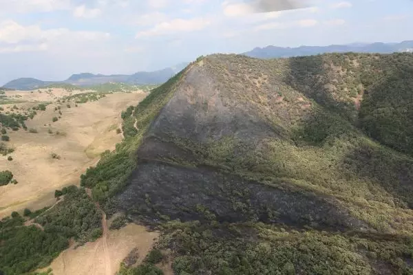 TUNCELİ'DEKİ 5 YANGINDAN 4'Ü SÖNDÜRÜLDÜ