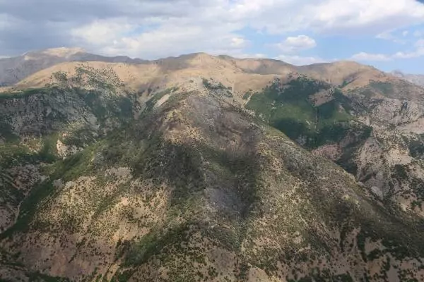TUNCELİ'DEKİ 5 YANGINDAN 4'Ü SÖNDÜRÜLDÜ