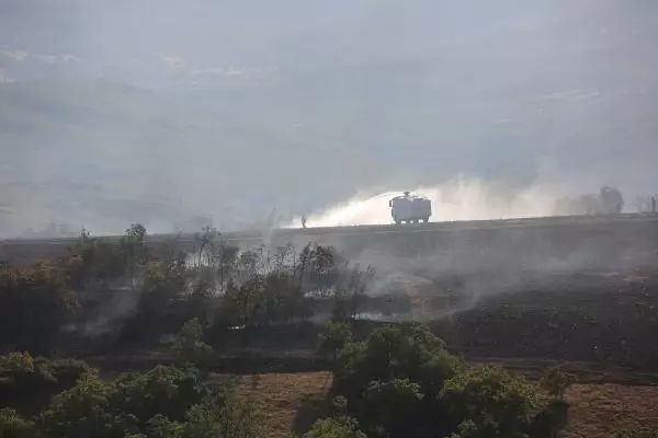 Son dakika haberleri... Bodrum'da orman yangını (2)