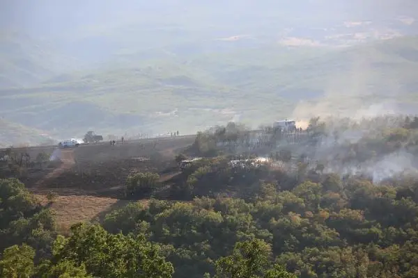 Son dakika haberleri... Bodrum'da orman yangını (2)