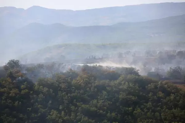 Son dakika haberleri... Bodrum'da orman yangını (2)
