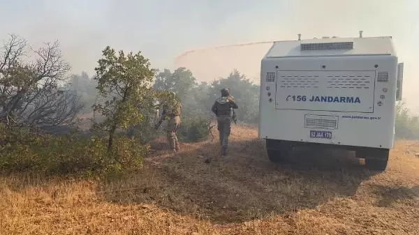 Son dakika haberleri... Bodrum'da orman yangını (2)