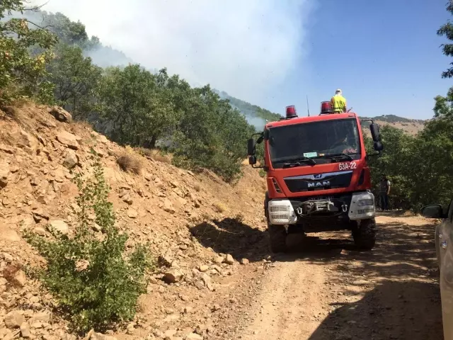 Son Dakika | Tunceli'deki orman yangınları kontrol altına alındı