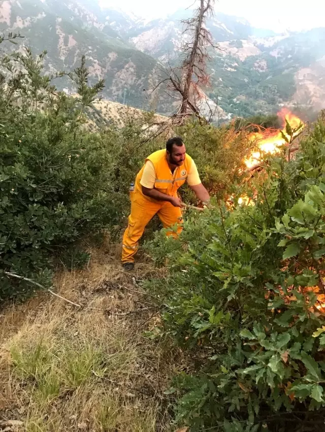 Son Dakika | Tunceli'deki orman yangınları kontrol altına alındı