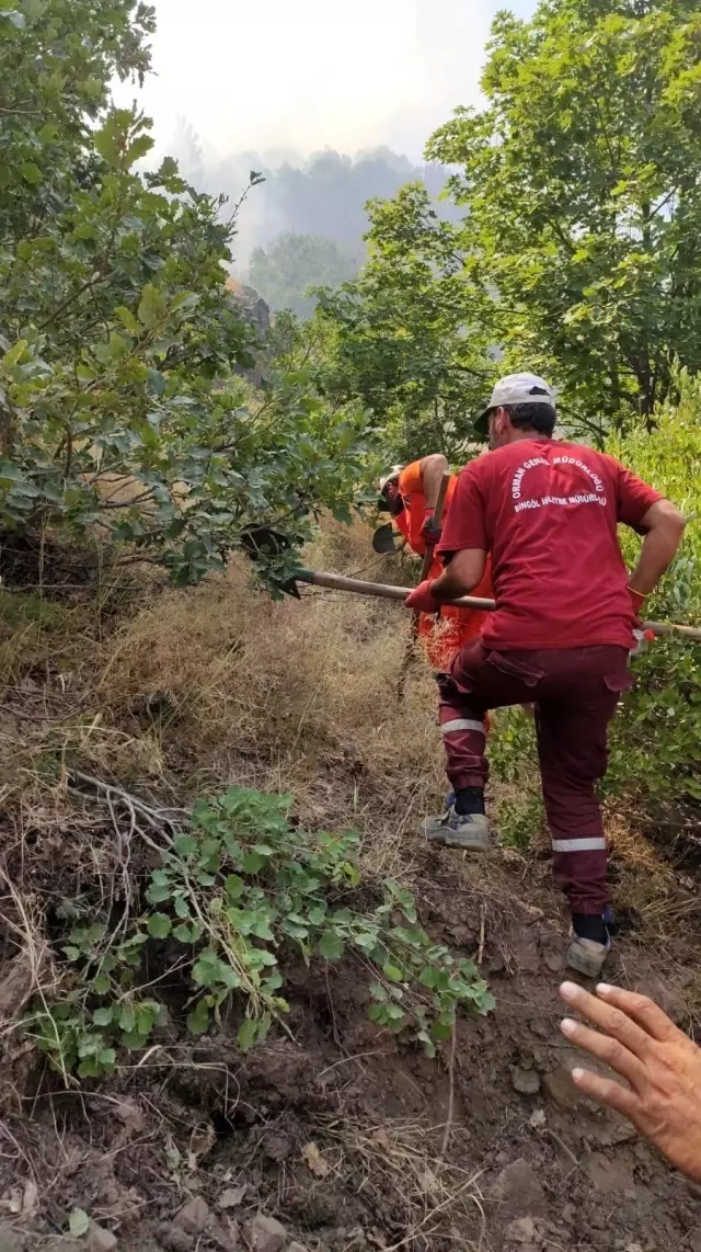 Son Dakika | Tunceli'deki orman yangınları kontrol altına alındı