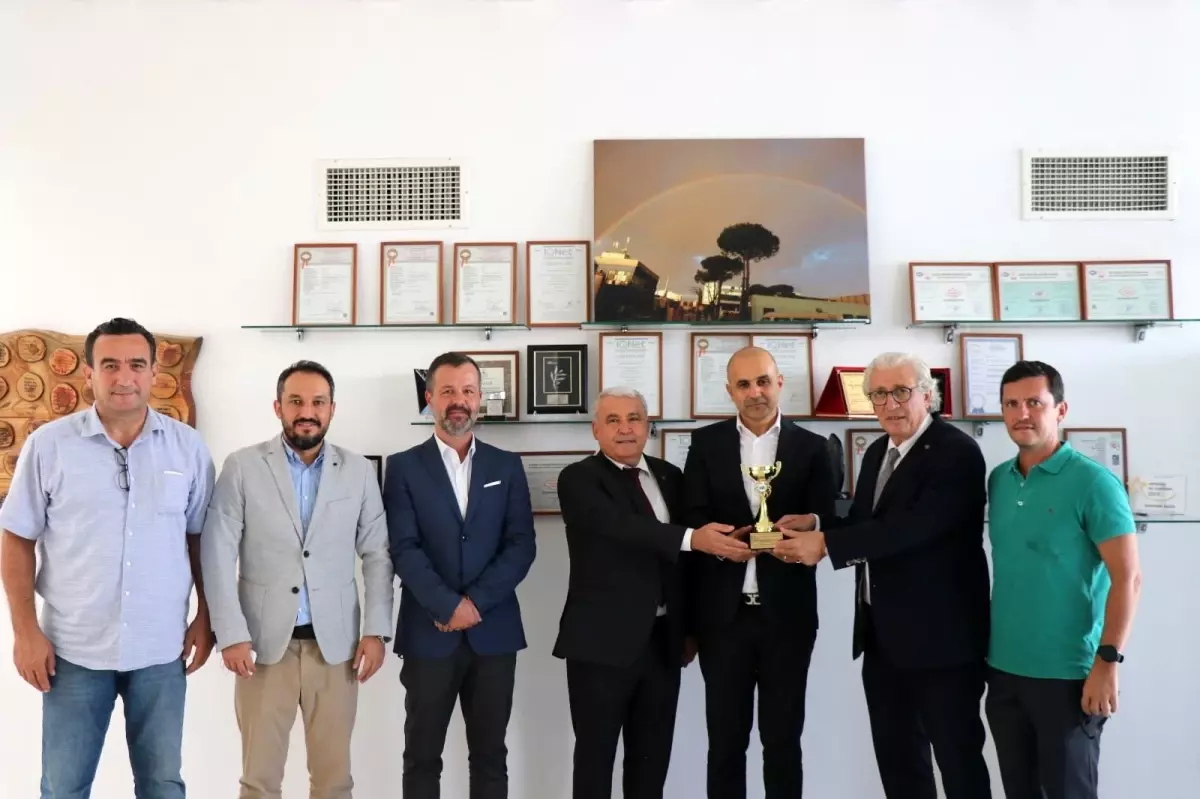 Türkiye'nin zeytinyağı ihracatı 100 milyon dolara yaklaştı