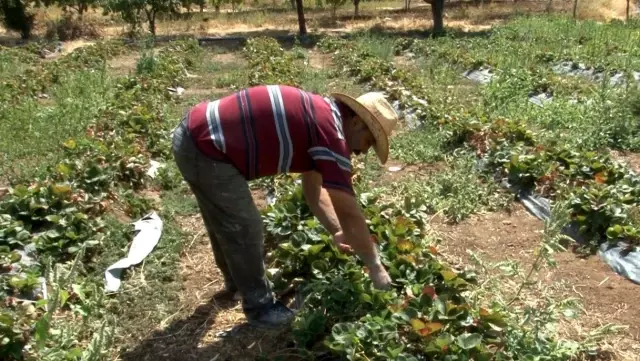 40 yıl gelmediği köyüne evini ve bahçesini kurarak geri dönüş yaptı