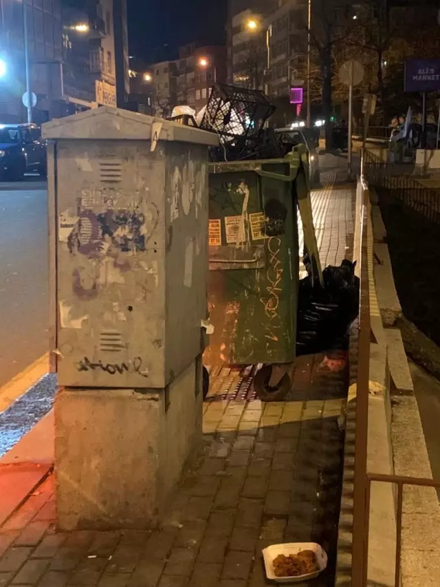Görme engelli şeridinin üzerinde duran çöp konteyneri geçişleri engelliyor