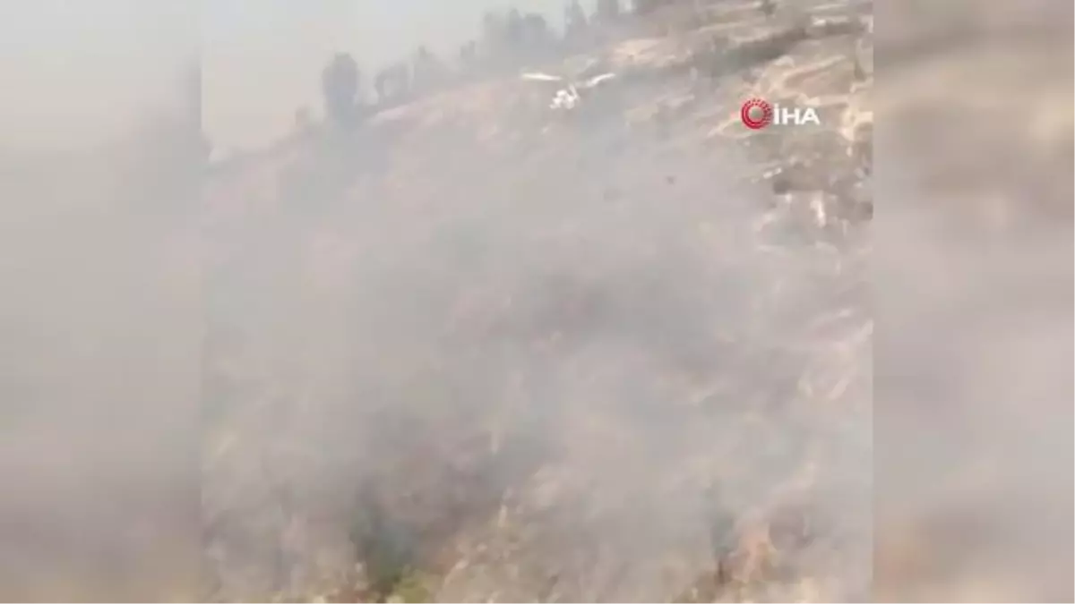 Azerbaycan'ın Gebele kentinde çıkan orman yangını kontrol altında