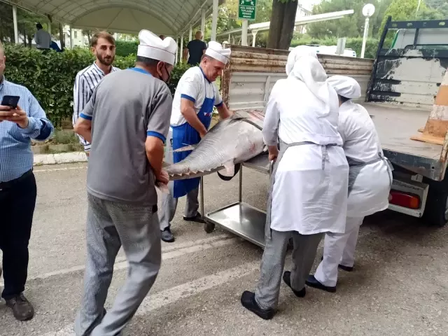 Balık sezonu sıkı denetimle başladı