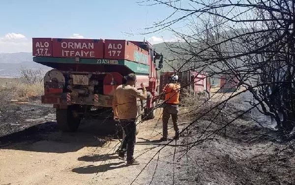 Bingöl'de orman yangını