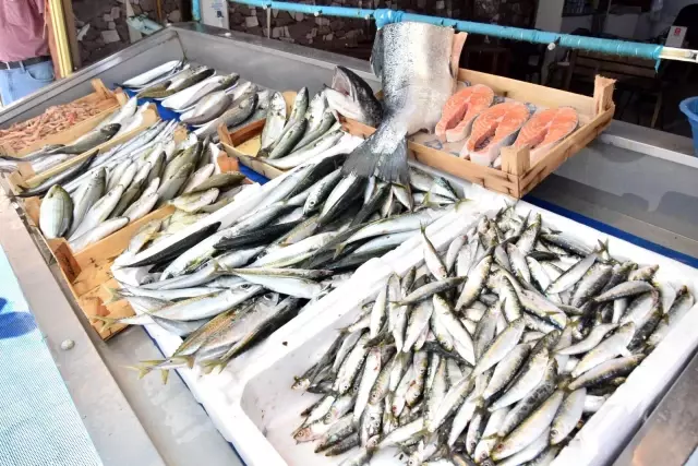 'Denizlerin prensi' olarak bilinen lüfer, kilosu 150 liradan tezgahlarda yerini aldı