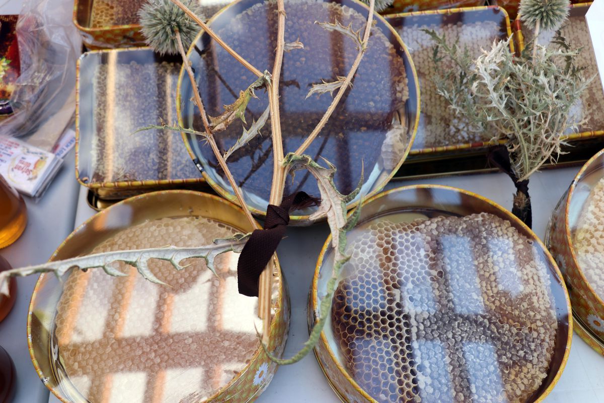 Devlet desteğiyle yüksek rakımda üretilen geven balının tanıtıldığı 'Ağrı 4. Bal Festivali' başladı