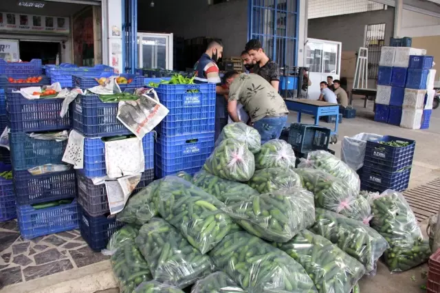 Mersin ve Adana'nın ağustos ayı enflasyonu yüzde 19,17