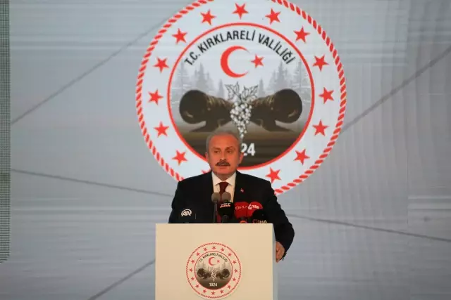 KIRKLARELİ - TBMM Başkanı Şentop, Kırklareli OSB'deki altyapı ve üstyapı tesislerinin açılışında konuştu (2)